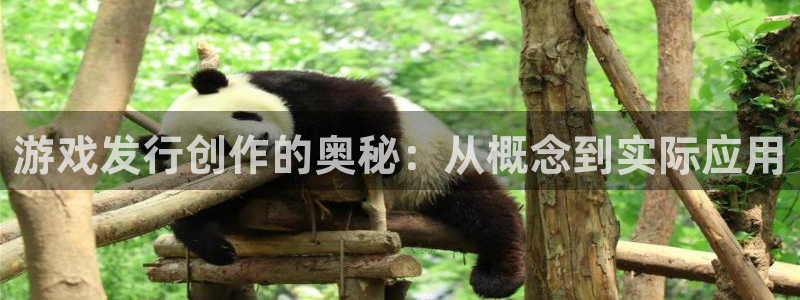 银河(galaxy)子的图片