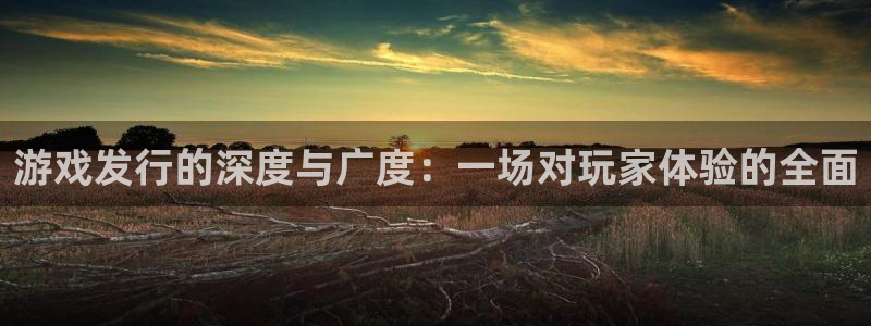 陕西银河(galaxy)子文化创意骗局：游戏发行的深度与广度：一场对玩家体验的全面
