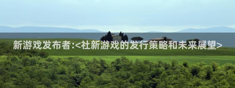 银河(galaxy)价格：新游戏发布者:<社新游戏的发行策略和未来展望>