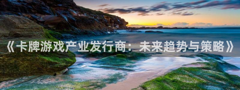 银河官网代理注册地址：《卡牌游戏产业发行商：未来趋势与策略》