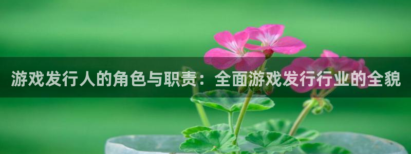 银河(galaxy)子公司怎么样知乎